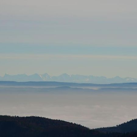Doller Villa 4 Stars Hot Tub Mountain Ski Ballon D'Alsace Sewen Zewnętrze zdjęcie
