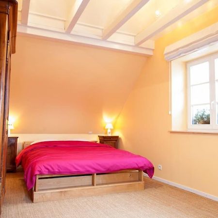 Doller Villa 4 Stars Hot Tub Mountain Ski Ballon D'Alsace Sewen Zewnętrze zdjęcie