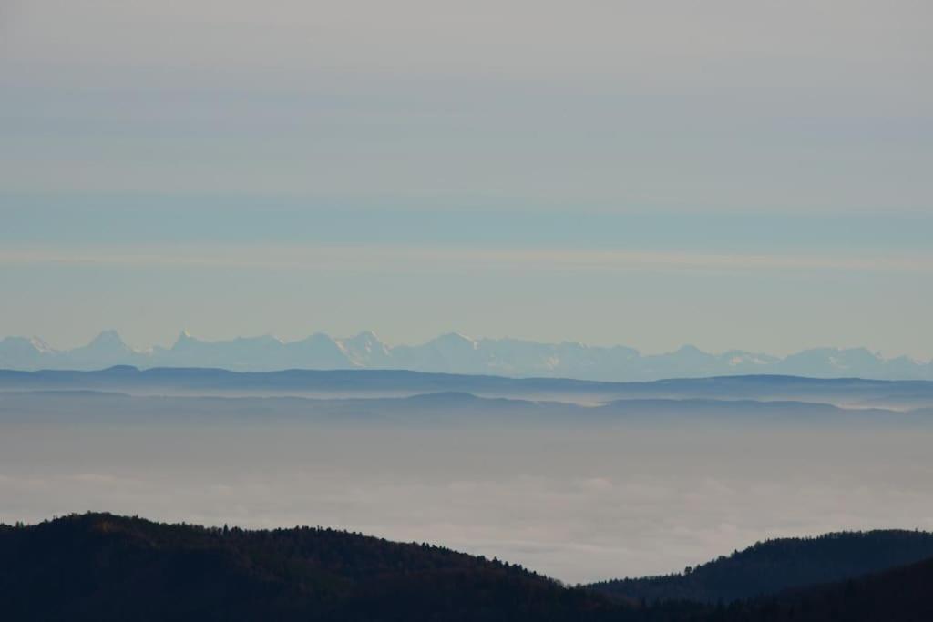 Doller Villa 4 Stars Hot Tub Mountain Ski Ballon D'Alsace Sewen Zewnętrze zdjęcie