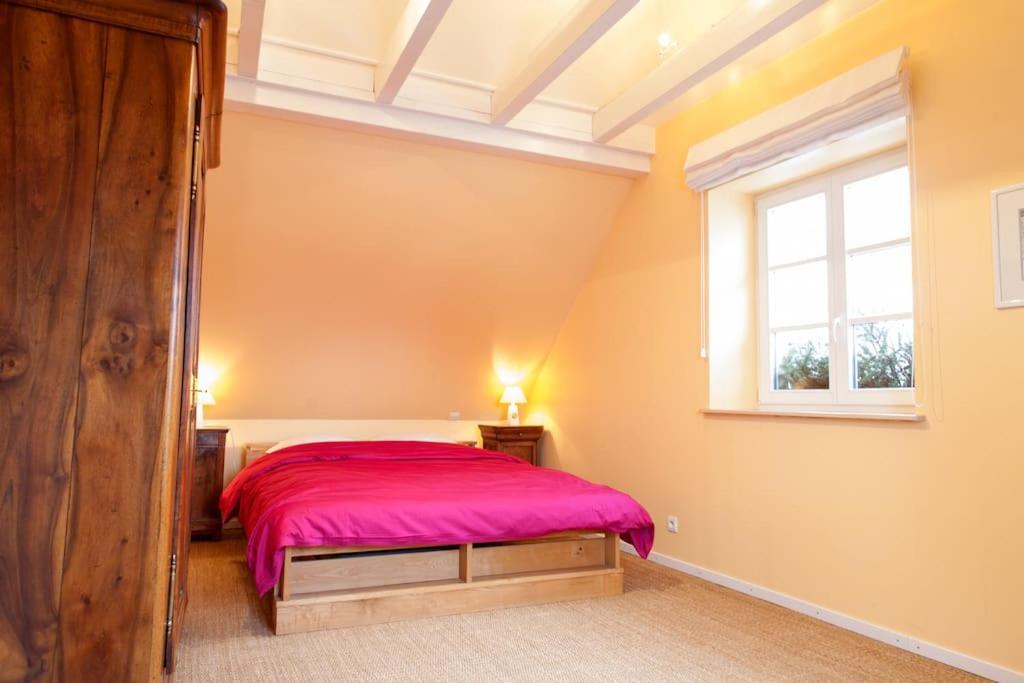 Doller Villa 4 Stars Hot Tub Mountain Ski Ballon D'Alsace Sewen Zewnętrze zdjęcie